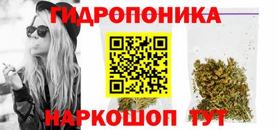 гидропоника Гусь-Хрустальный