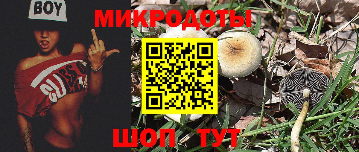 Минусинск  Галлюциногенные грибы мухоморы  Вход с VPN  Псилоцибиновые грибы Psilocybe 